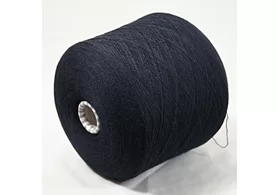 95% меринос, 5% эластан, Art: Evolution, Tollegno 1900, цвет: темно-синий, 2/40 (2000 /100 гр.) (6196)