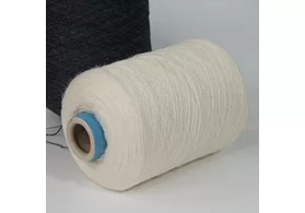 100% натуральная шерсть Art. Sherwool, Sesia, цвет: молочный, 3/15 (500 м/100 гр.) (6348)