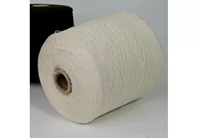 100% шерсть, Art. Forte, Filati Omega, цвет: молочный, 1/15 (1500 м/100 гр.) (6353)