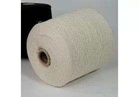 100% шерсть, Art. Forte, Filati Omega, цвет: молочный, 1/15 (1500 м/100 гр.) (6353)