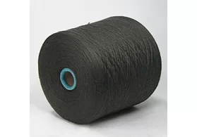 Пряжа 100% меринос, Art: Cashwool, Zegna Baruffa, цвет: коричневато-зеленый, 2/30(1500 м/100 гр.) (5487)