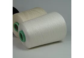 Пряжа 50% меринос, 50% вискоза, Art: Bering, Zegna Baruffa, цвет: белый, 2/60 (3000 м/100 гр.) (5253)