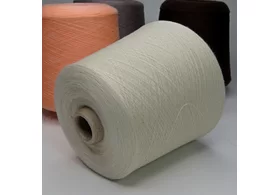 100% кашемир (гребенной), Art. Sofio, Prisma Ricerche, цвет: лаймового крема, 2/60 (3000 м/100 гр.) (6437)