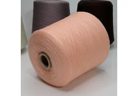 100% кашемир (гребенной), Art. Sofio, Prisma Ricerche, цвет: розовый персик, 2/60 (3000 м/100 гр.) (6438)