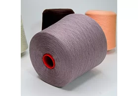 100% кашемир (гребенной), Art. Aliseo old Dyed, Filati Biagioli Modesto, цвет: лиловый, 2/48 (2400 м/100 гр.) (6440)